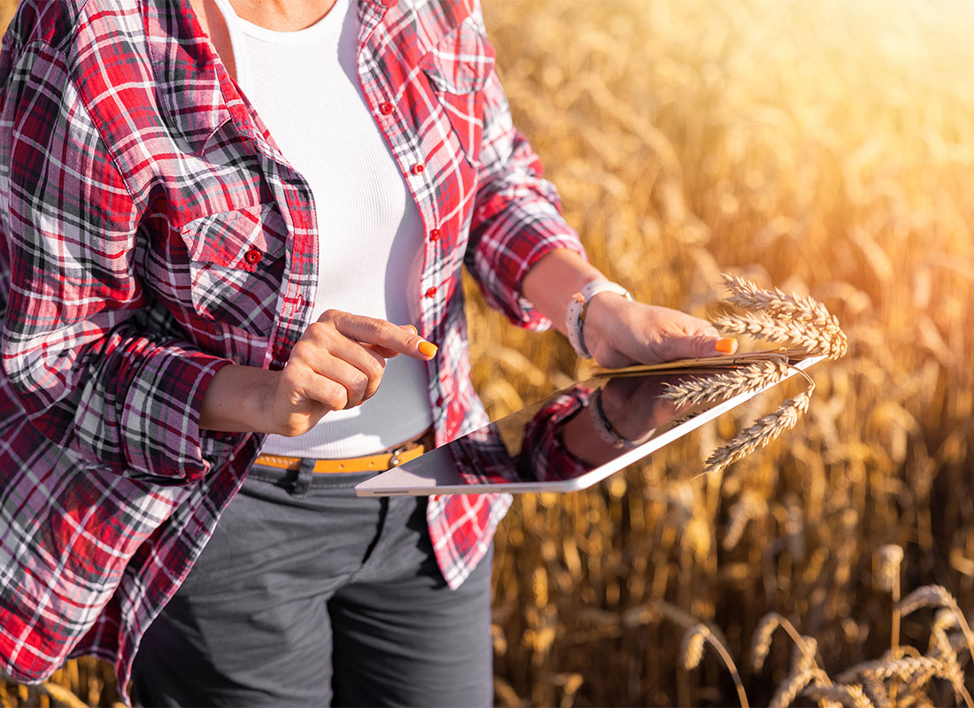 Insurance by Industry - Closeup View of a Young Female Farmer Using a Tablet While Standing in a Field of Wheat on her Farm